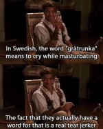 1752809463772.png
