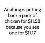 1000023778.jpg