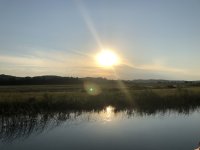 IMG_0141.jpeg