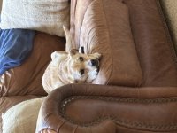 IMG_1185.jpeg