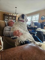 IMG_7954.jpeg