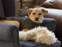 IMG_0463.jpeg