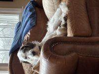 IMG_0461.jpeg