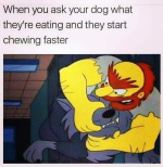 1753065929459.png