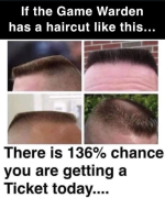 1753141126213.png