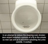 1000023986.jpg