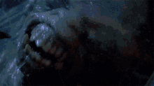 IMG_4904.gif