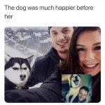 1753301263889.jpeg
