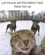 1753315470798.png