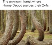 IMG_2590.jpeg