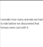 IMG_9415.jpeg