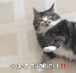 1753796095420.jpeg