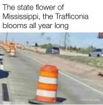 FB_IMG_1753799524429.jpg