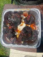 IMG_1458.jpeg