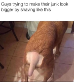 1753842030321.png
