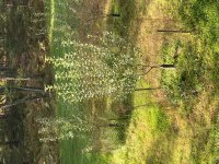 image6.jpeg