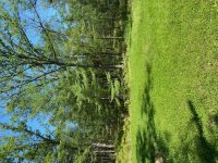 image7.jpeg