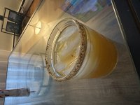 IMG_0210.jpeg