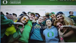 Duck Life.jpg