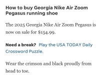 How to buy Georgia Nike Air Zoom Pegasus 41 sneaker.jpeg