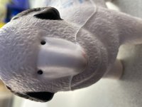IMG_1420.jpeg