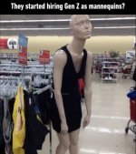 IMG_9487.jpeg