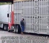 1000024529.jpg