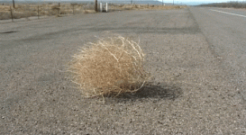46ee7a931a7a76424c8db489196ab2e785ca687a.gif
