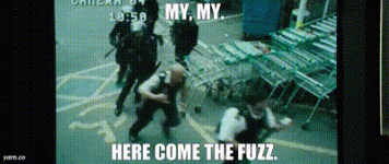IMG_8726.gif