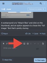IMG_7194.jpeg