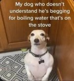 1000024651.jpg