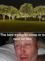 1754964544997.jpeg