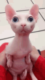 1755012432274.png