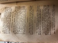 IMG_9499.jpeg