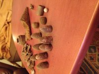 IMG_3230.jpeg
