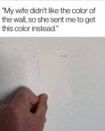 IMG_1211.jpeg