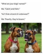 1755180023632.jpeg