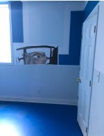 IMG_6096.jpeg