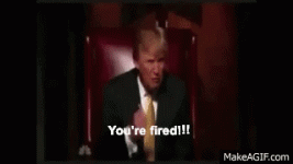 IMG_6126.gif