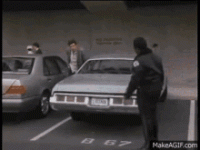 1755445762366.gif