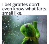 1755530721536.jpeg