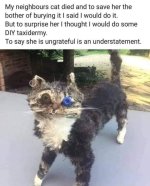 1755612570209.jpeg