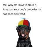 1000024940.jpg