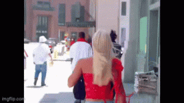 giphy.gif
