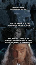 on-fire-wait-arent-servant-secret-fire-wielder-flame-amor-couldnt-just-set-on-fire-with-magic-no.png