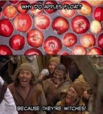 1000024987.jpg