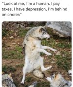 IMG_9688.jpeg