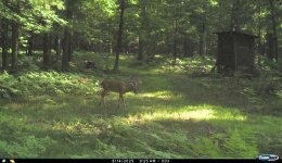 image003.jpeg
