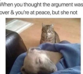 1755917807410.png
