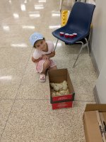 PXL_20250731_160732380.jpg
